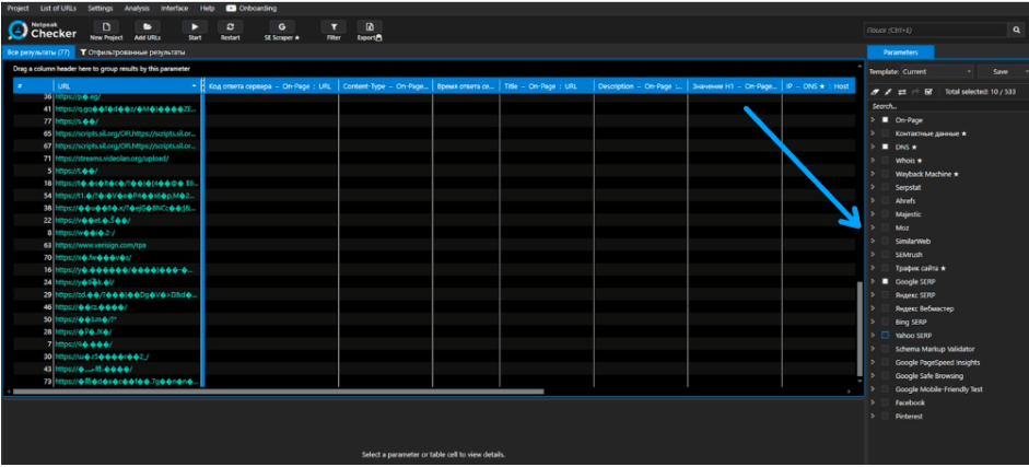 Netpeak Checker parameters