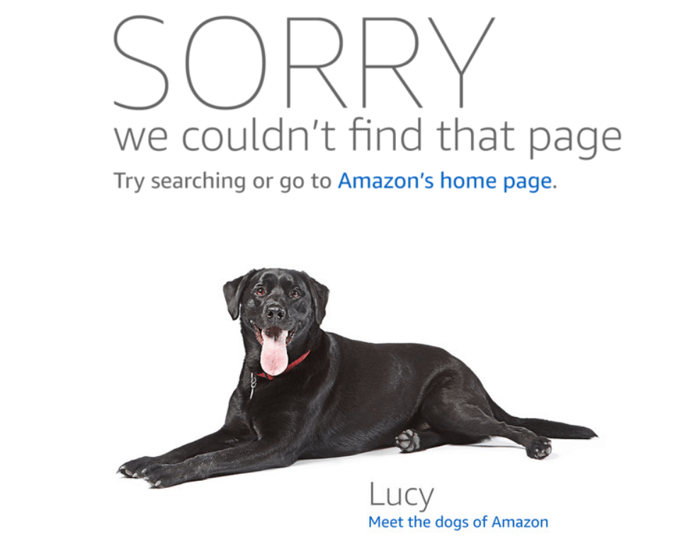 Amazon 404 error page