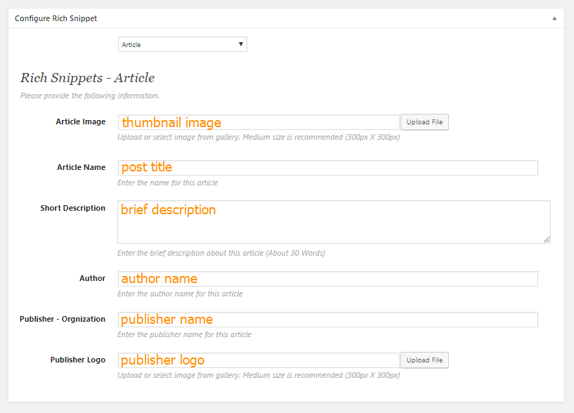 Necessary fields to configure rich snippets