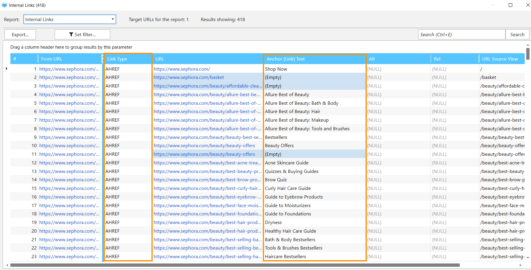 Anchor texts and link types detected by Netpeak Spider