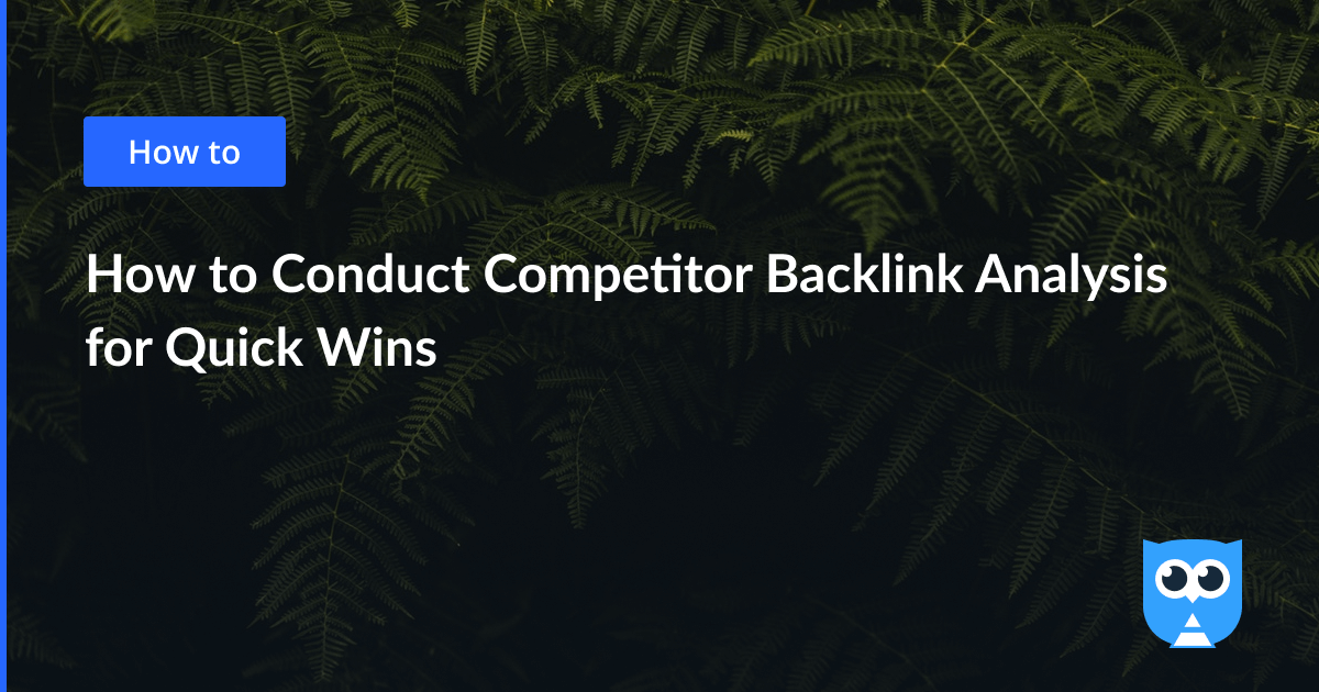 How to Conduct Competitor Backlink Analysis for Quick Wins – Netpeak ...
