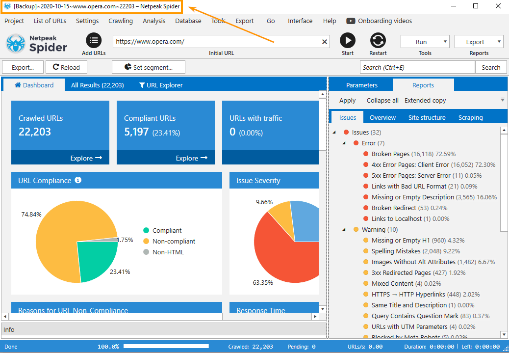 Backup project name in Netpeak Checker