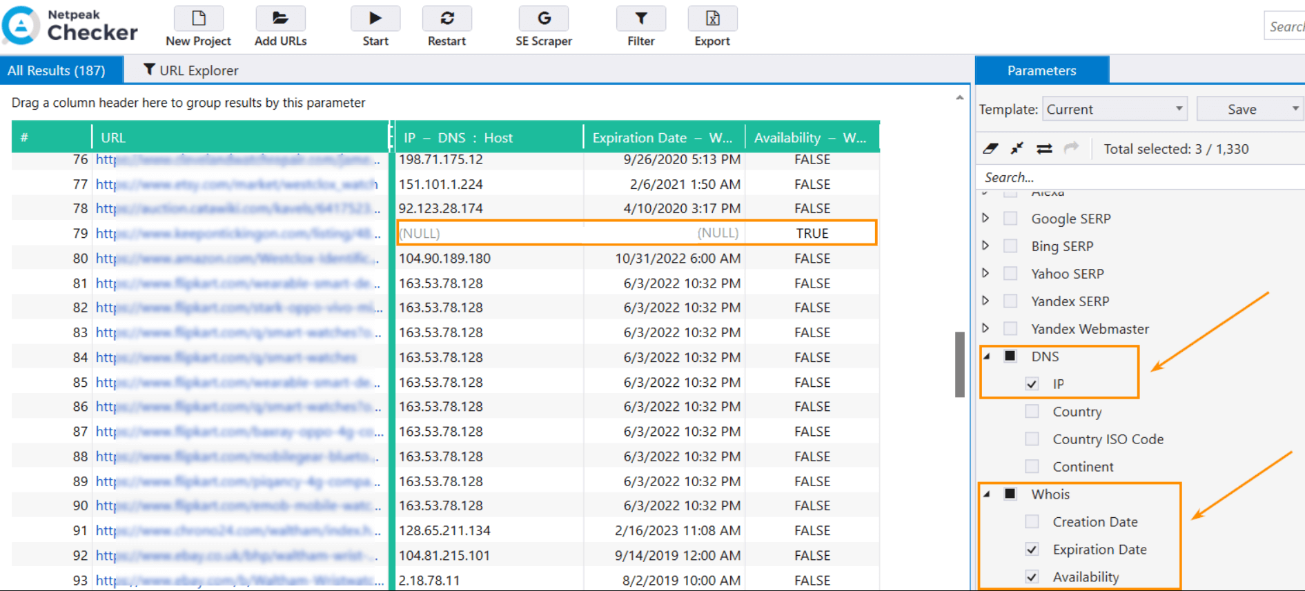 Checking domains by IP and Whois in Netpeak Checker