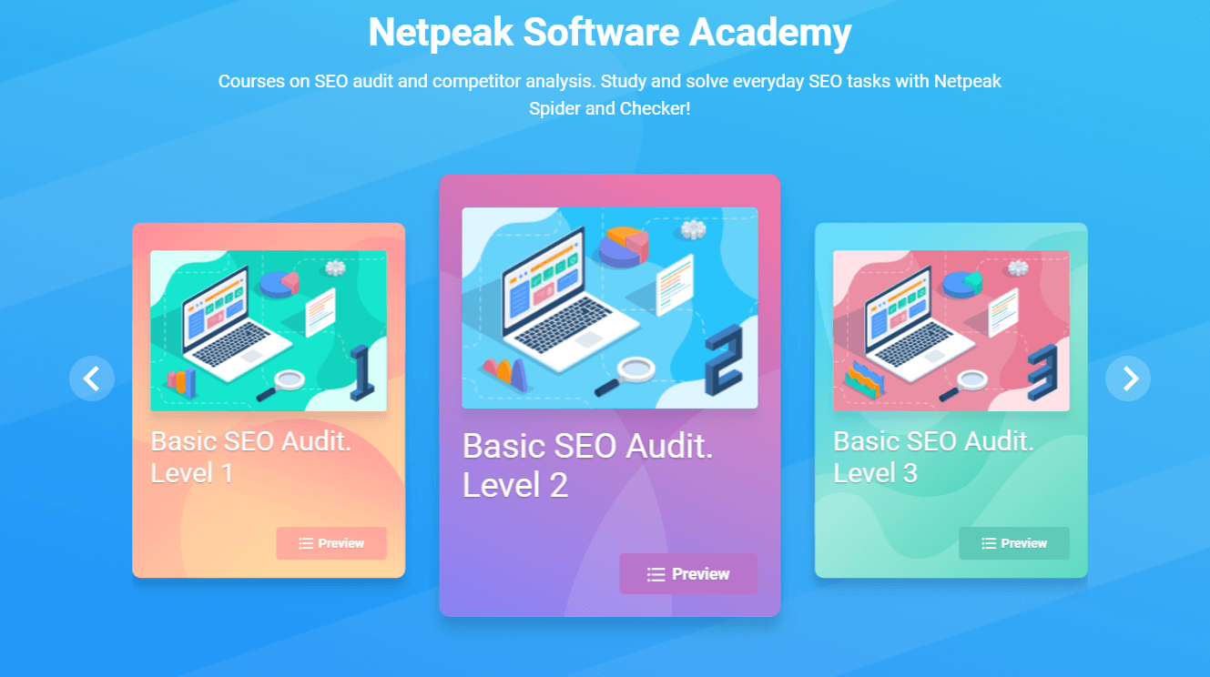 Netpeak Software Academy