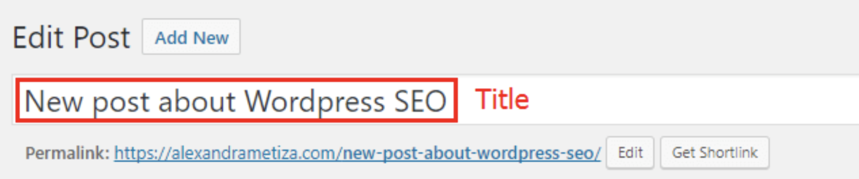 WordPress title tag editn