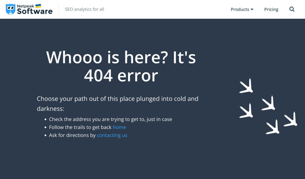 An example of a 404 error on the Netpeak Software site