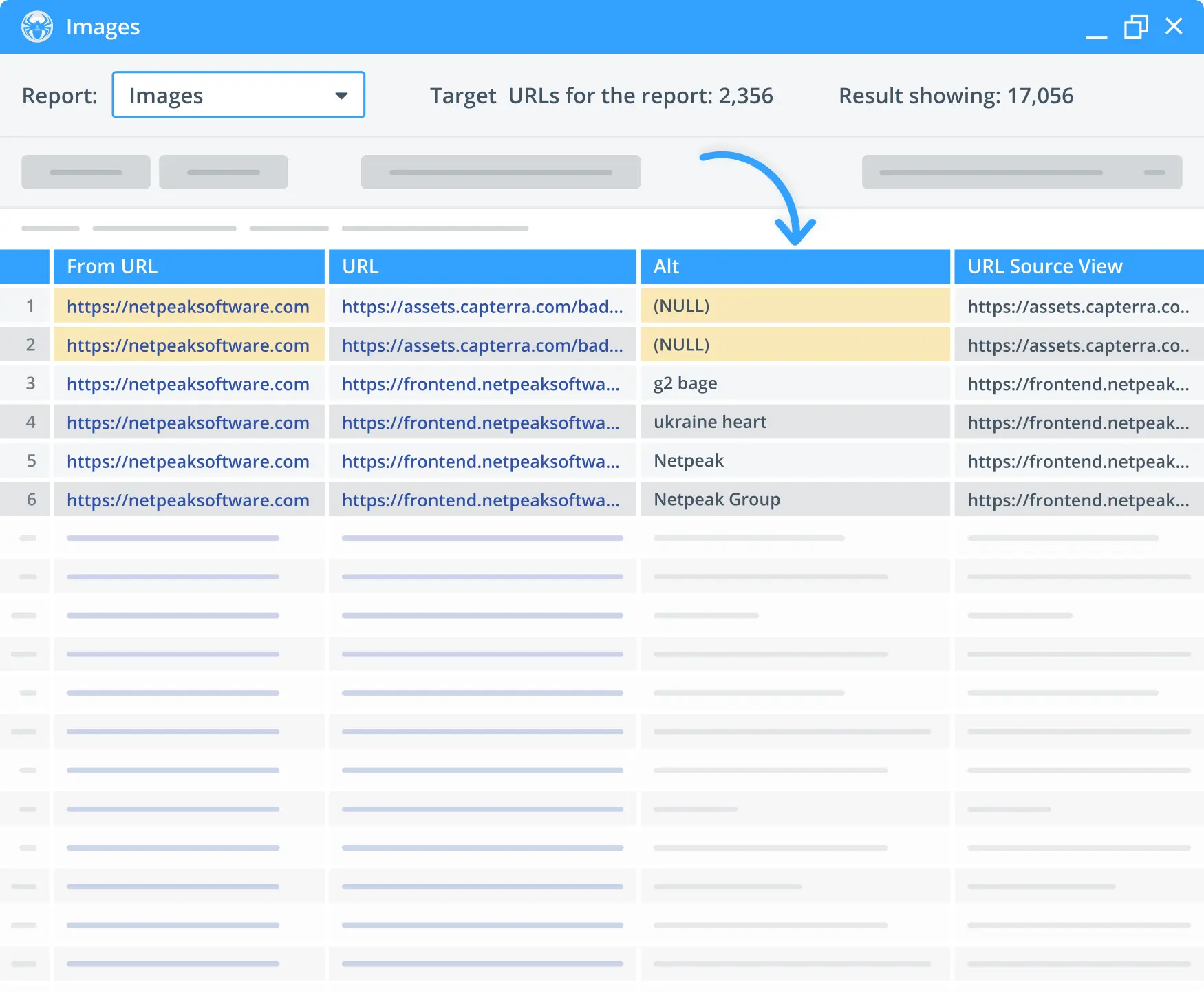 Image alt tags on Page Check in the Netpeak Spider