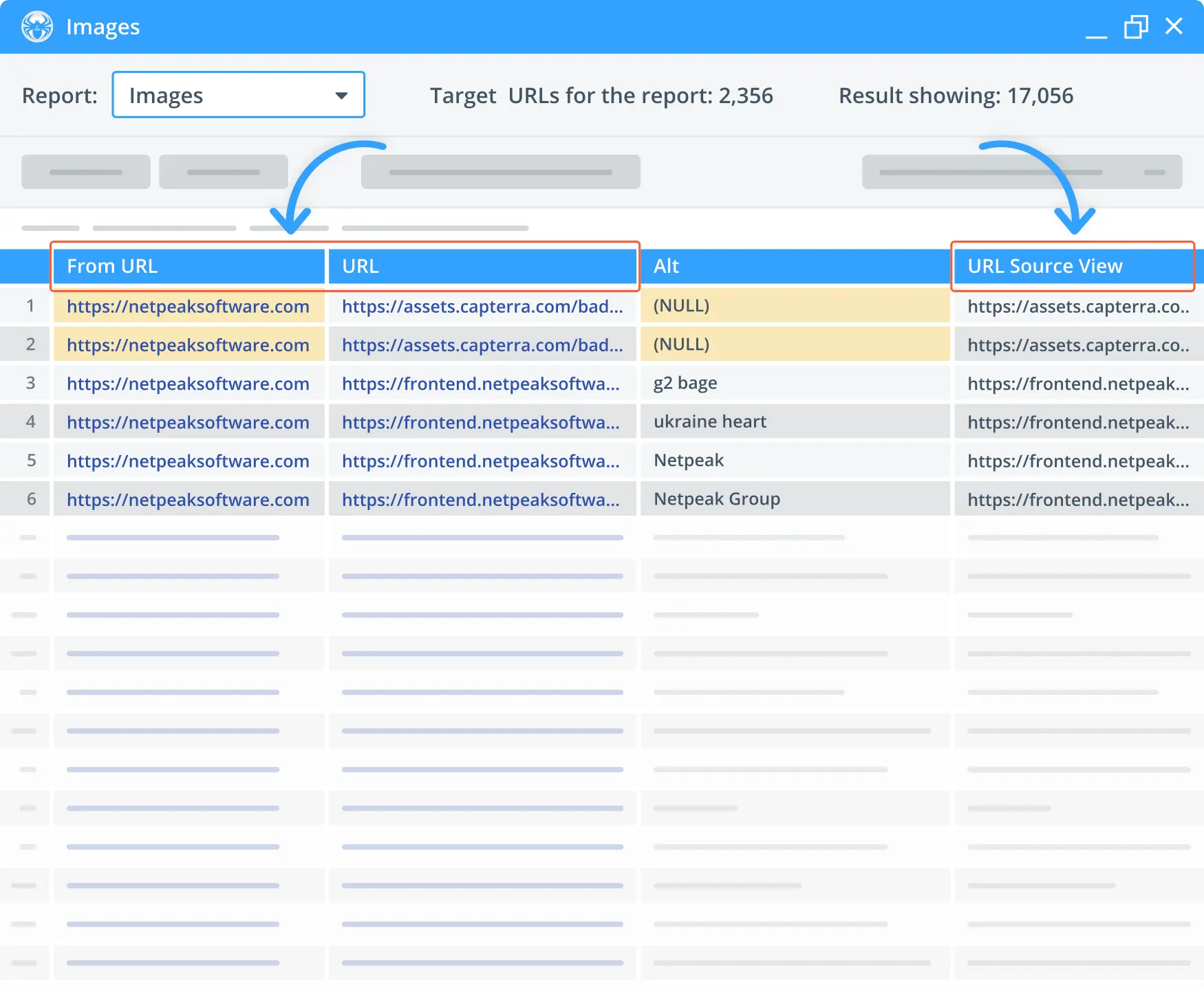 Additional image info by the Alt Tag Checker feature