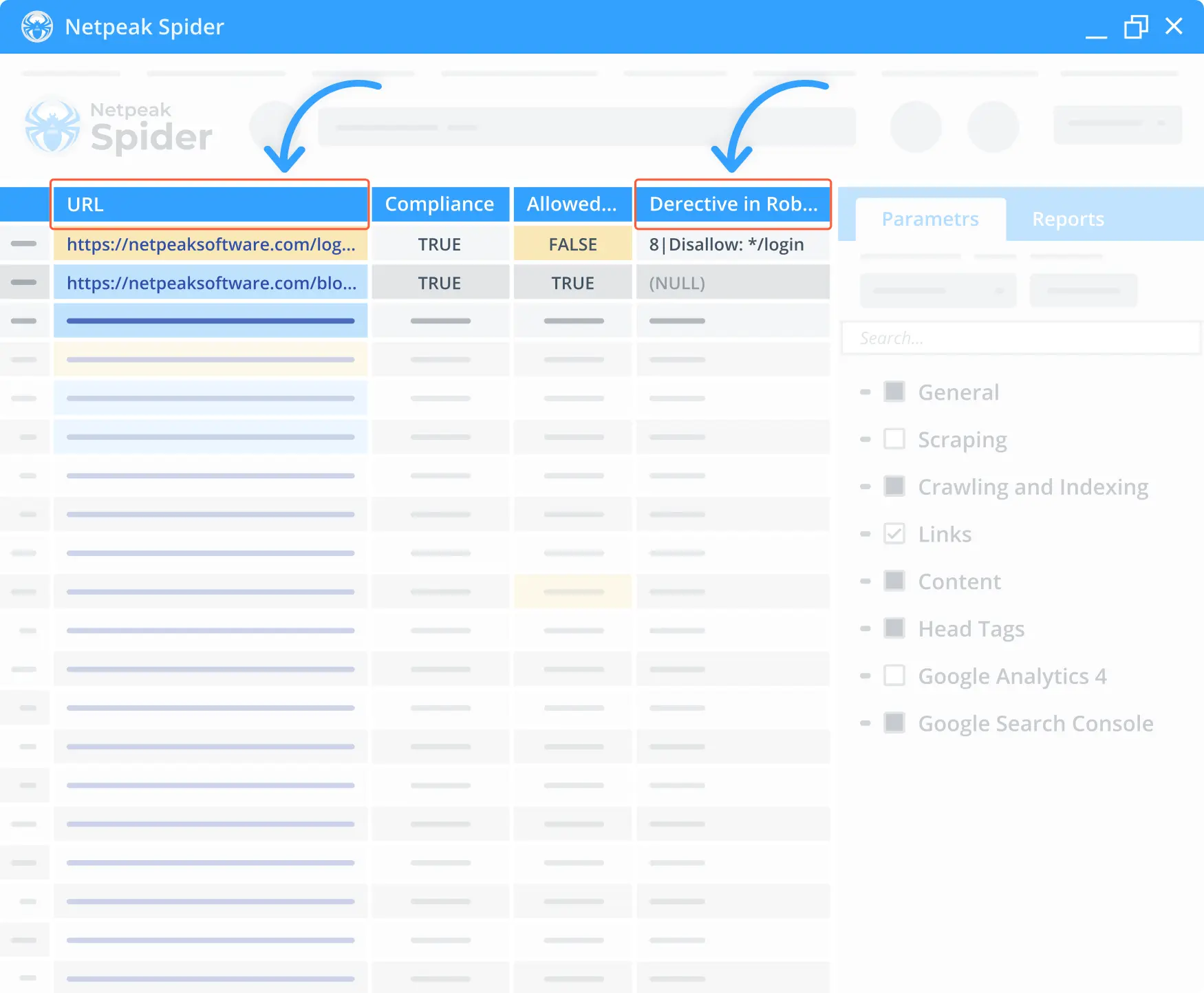 Netpeak Spider shows the directive for every link found in robots.txt.