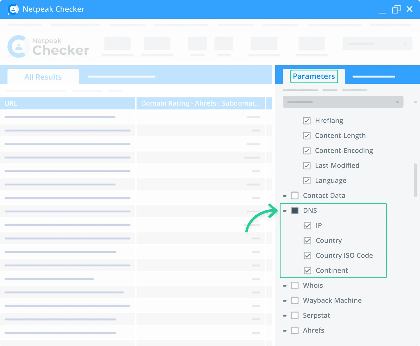 DNS tools Parameters tab in the Netpeak Checker.