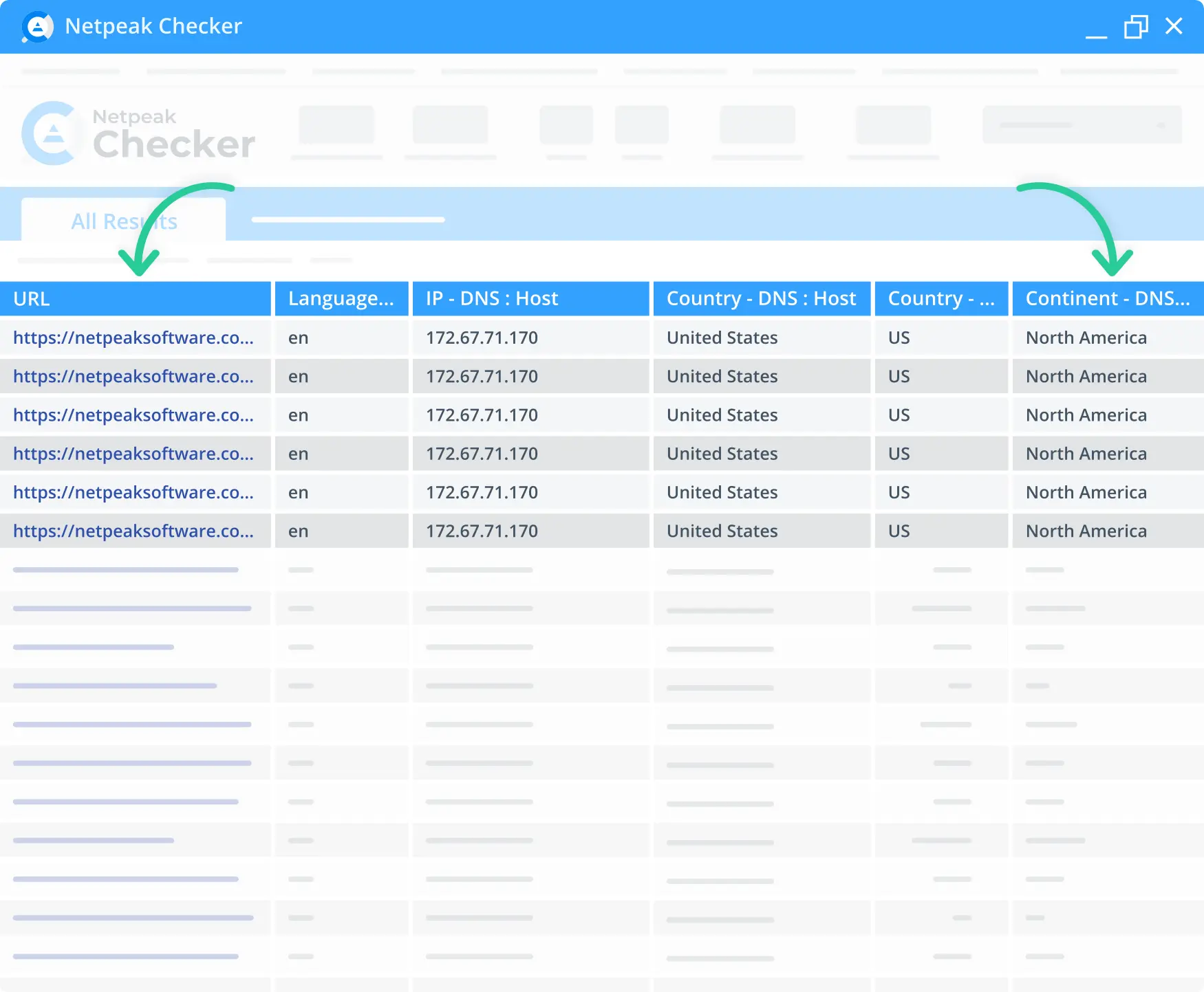 DNS Continent identification by Netpeak’s Checker.