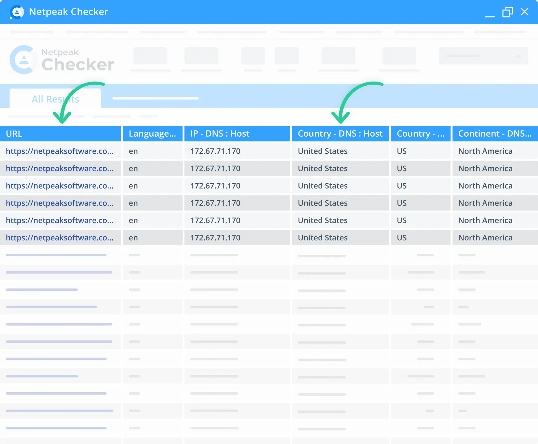 DNS country location in Netpeak Checker.