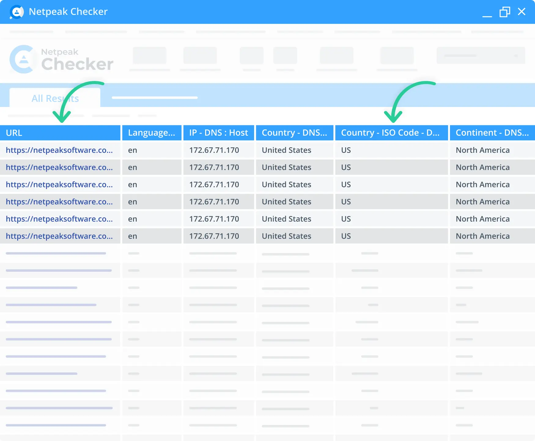 Find the user’s Country ISO code with Netpeak’s Checker geo-DNS. 