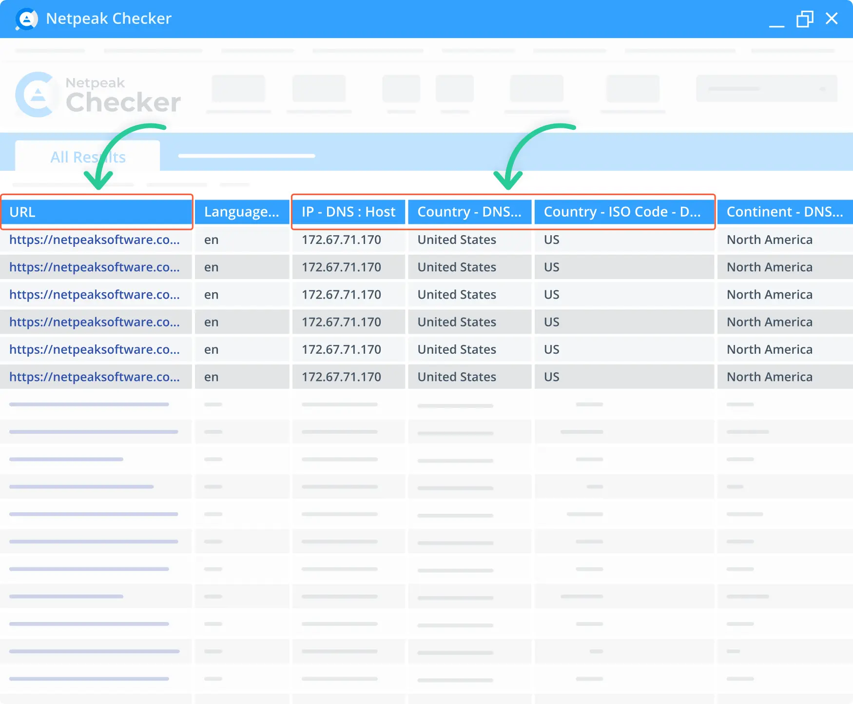 Checking DNS test information in the Netpeak Checker.