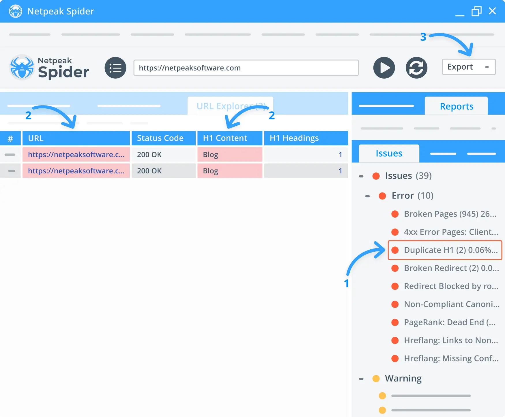 Selecting the required type of duplicated content and exporting the scan results