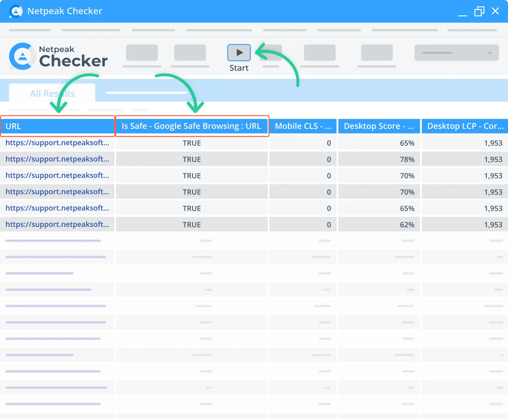 Netpeak website scanning for security