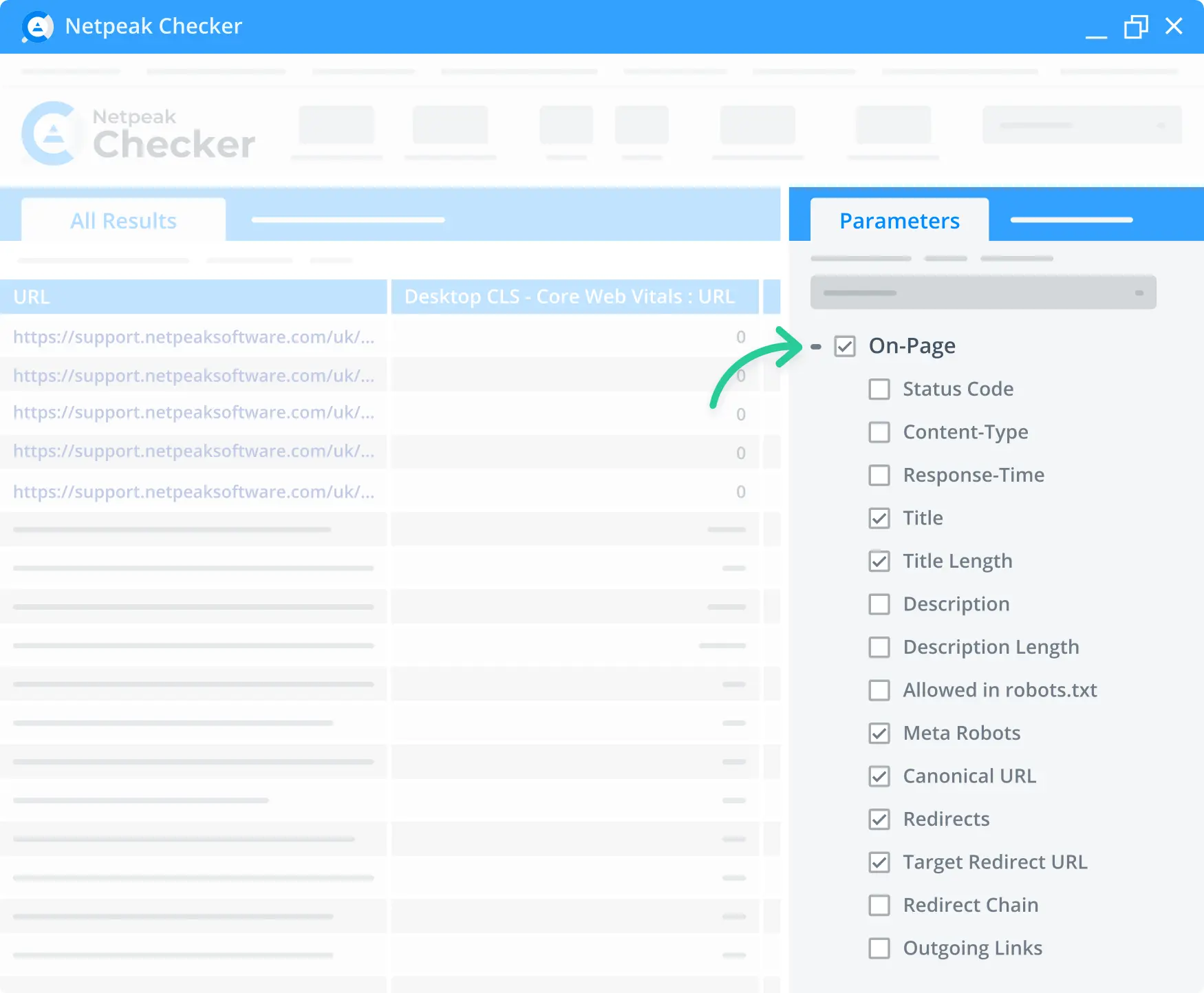 Netpeak checker additional page info