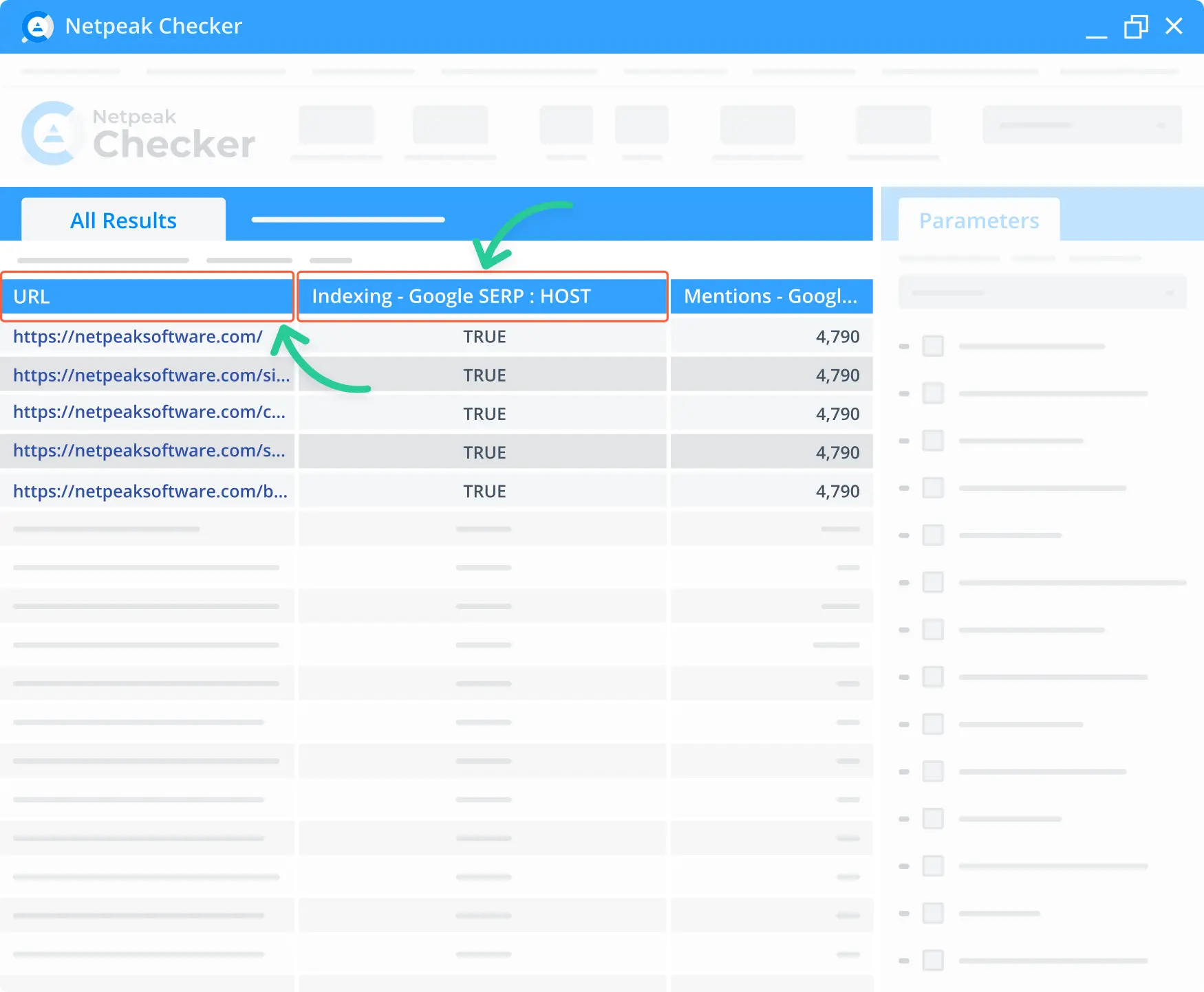 Google SERP indexing in the Netpeak Checker