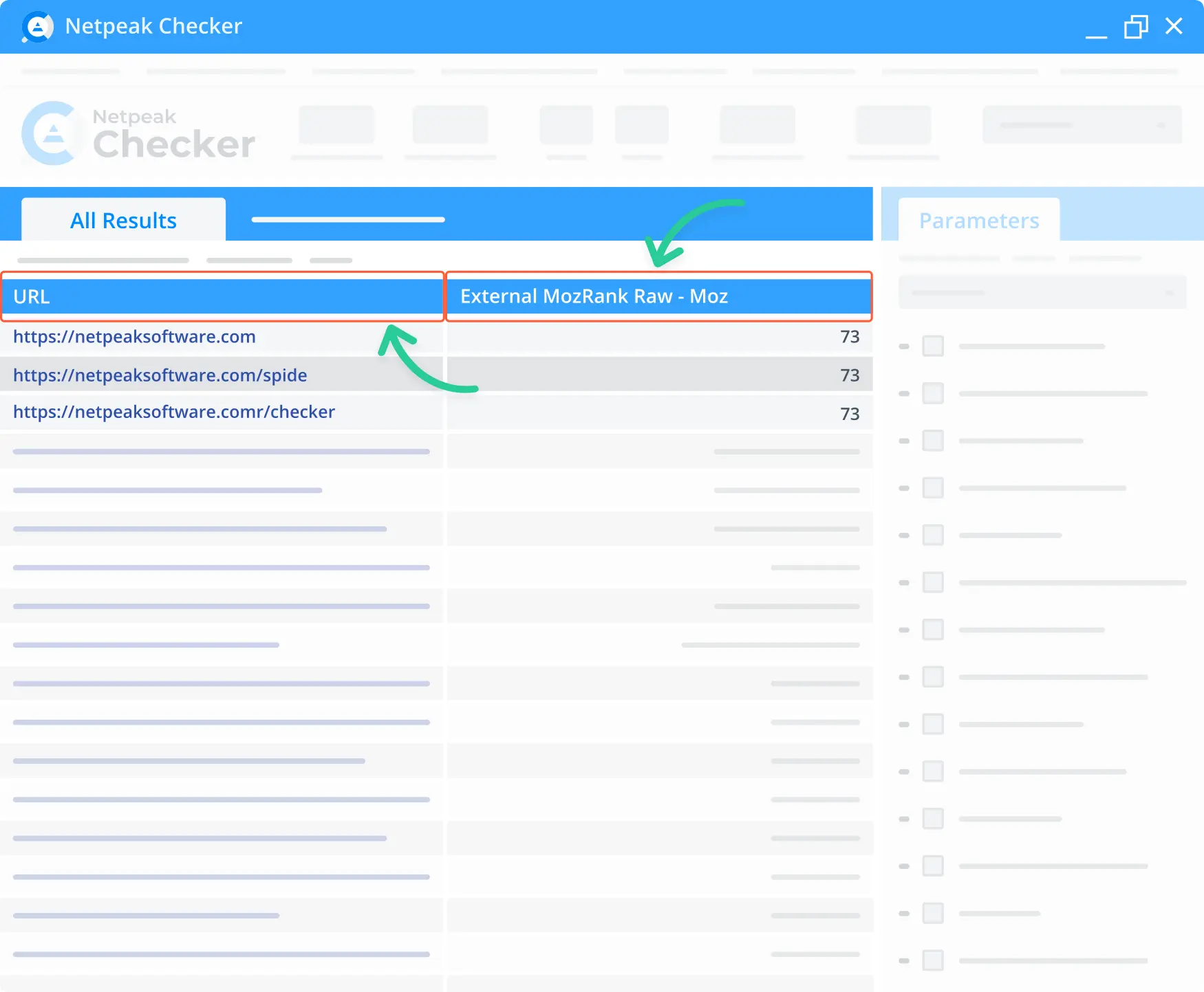 Define the raw external Moz Rank using Netpeak Checker.