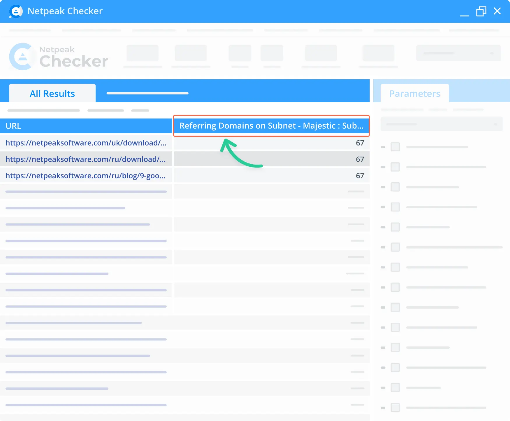 Функція Majestic Subnet Referring Domains в Netpeak Checker.