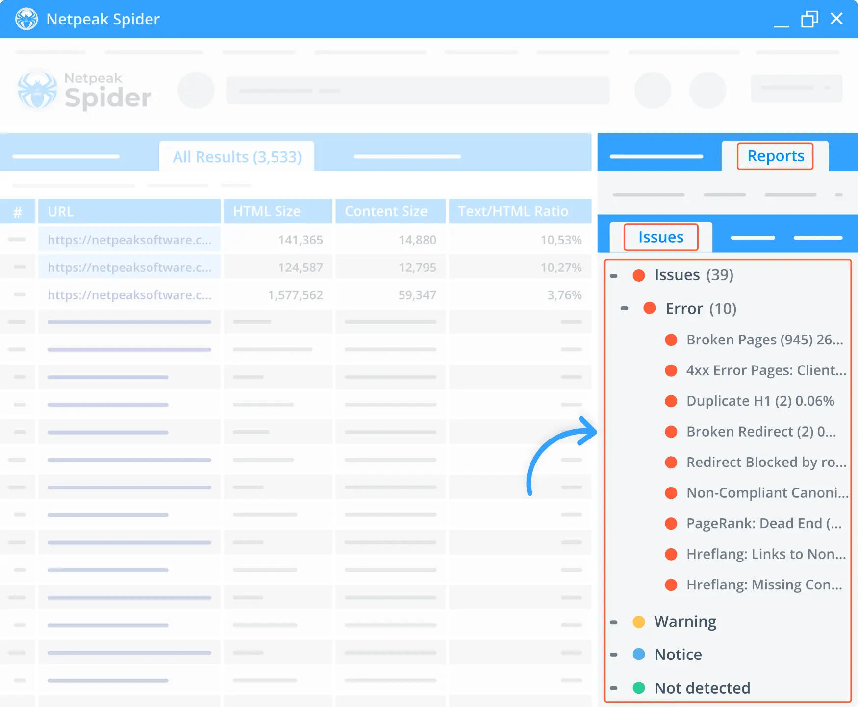 Use Netpeak Spider to detect other on-page issues on a target website.