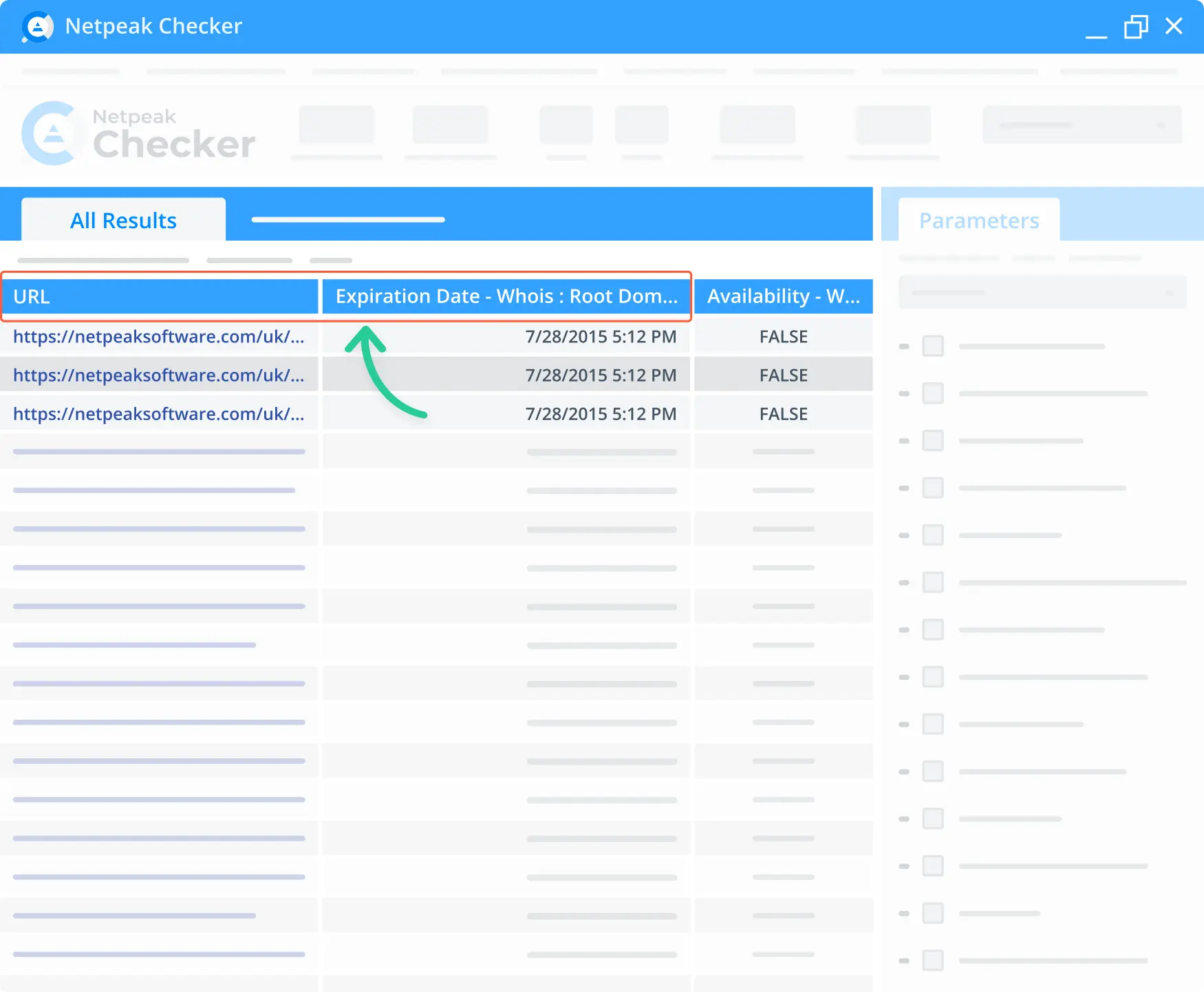 Check out the domain expiration date via the Netpeak Checker tool.