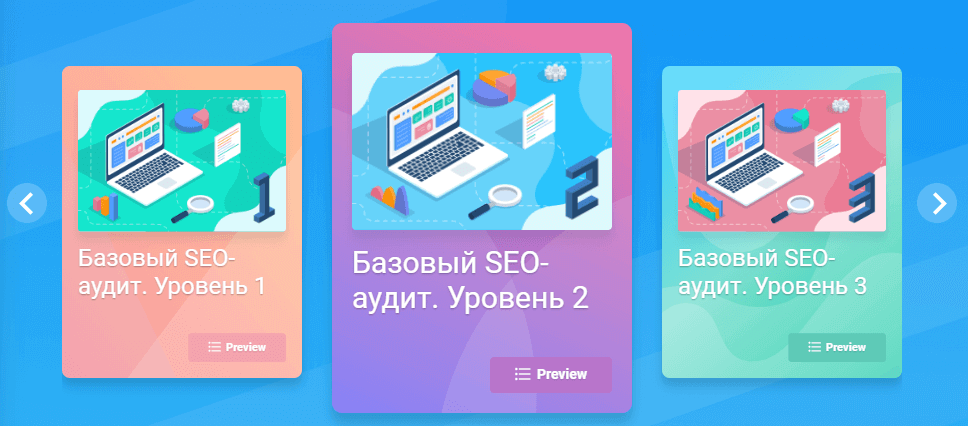 Новая Академия Netpeak Software