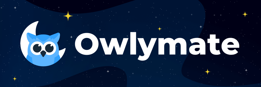 Owlymate: мы запускаем предпродажу нового SEO-ассистента на Windows и macOS